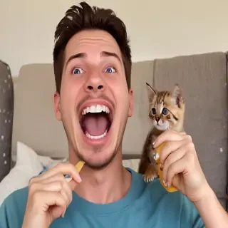 funny videos
