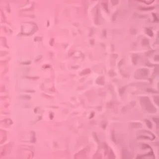 pink zoom backgrounds
