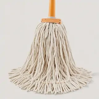 mop png