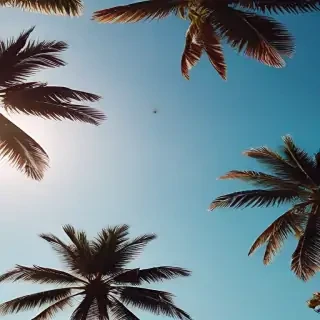 summer iphone wallpaper