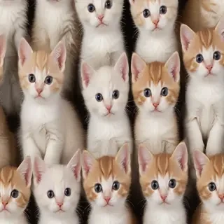 kittens background