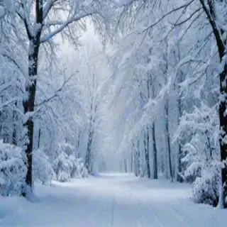snow background iphone
