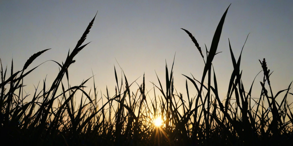 grass silhouette