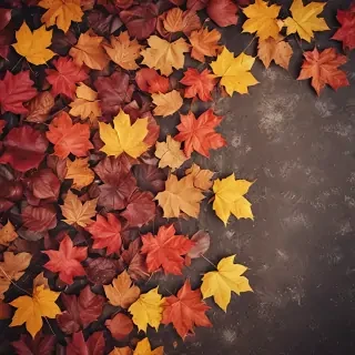 wallpaper autumn iphone