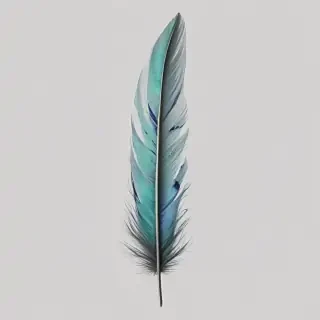 feather png