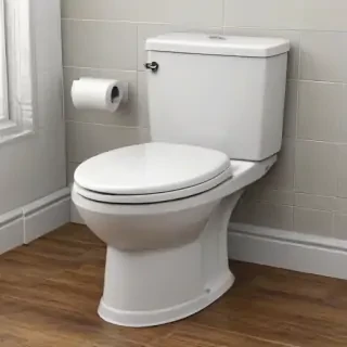 toilet png