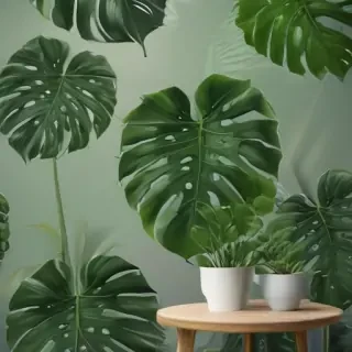 aesthetic monstera wallpaper
