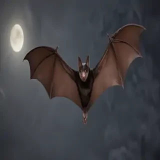 pictures of bats for halloween