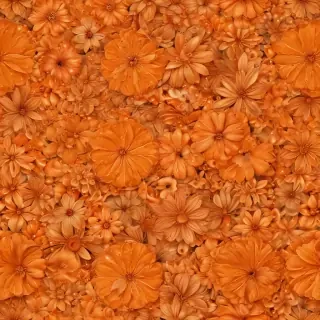 pretty orange backgrounds