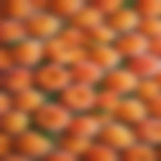 cute peach background