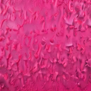 hot pink background