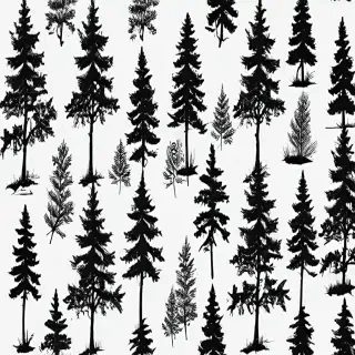 pine tree clipart black and white