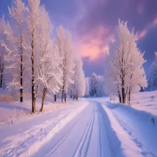 winter wonderland wallpapers