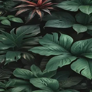 aesthetic plant wallpaper