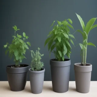 pot images