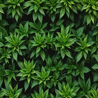 plants zoom backgrounds