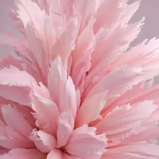 pastel pink wallpaper iphone
