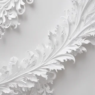 white background wallpaper