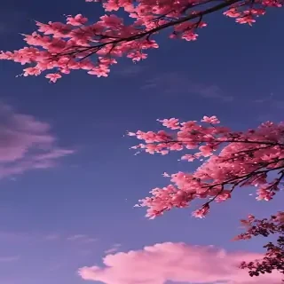 aesthetic wallpapers phone