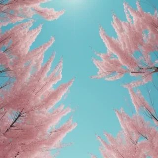 aesthetic spring wallpaper iphone