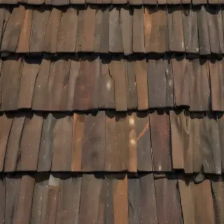 shingles images
