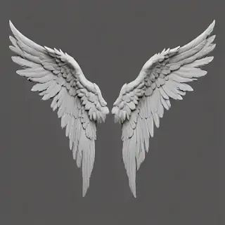 angel wings png transparent