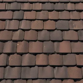 pictures of shingles