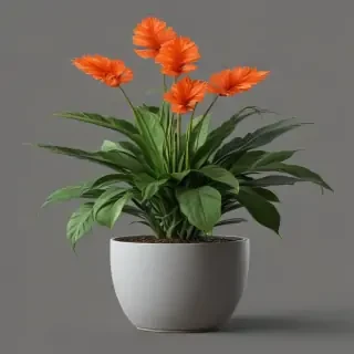 potted plant png