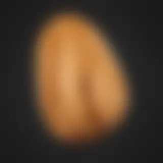 peanut png