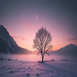 aesthetic winter wallpaper iphone