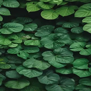 greenery iphone background