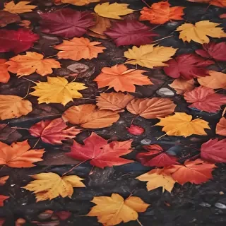 autumn background iphone
