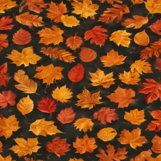 fall leaves png transparent