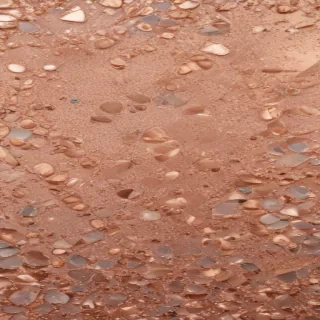 sparkly rose gold background
