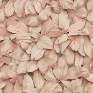 neutral iphone backgrounds
