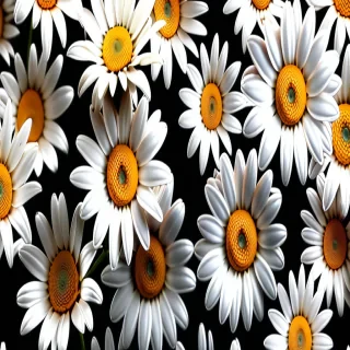 daisy wallpaper iphone