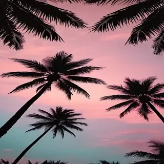 aesthetic palm tree wallpaper