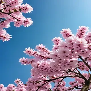spring wallpaper iphone