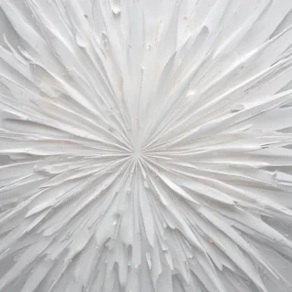 white background wallpaper
