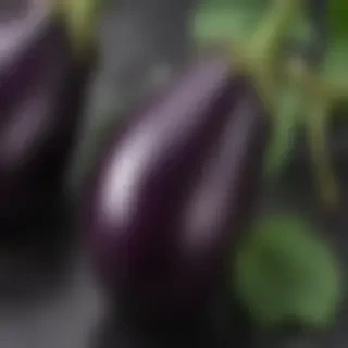 eggplant png