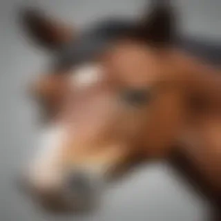 horse images drawing