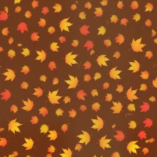 cute fall iphone wallpaper