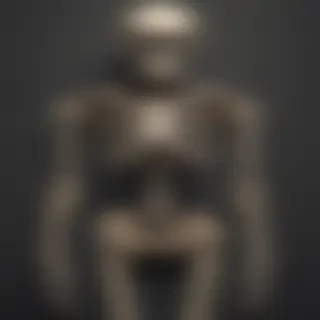 skeleton iphone wallpaper