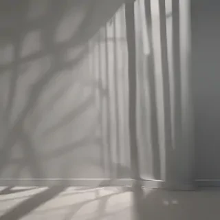 shadow wallpaper