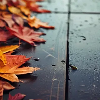 autumn iphone wallpaper