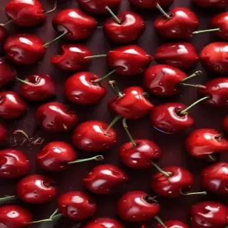 cherry background