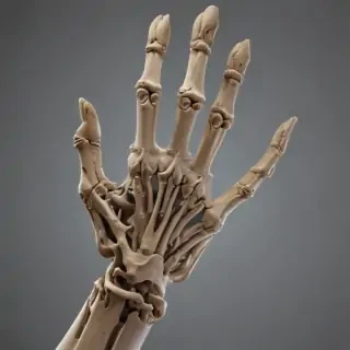 skeleton hand png