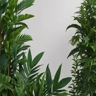 zoom background plants