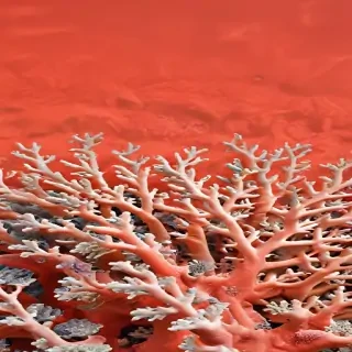coral color
