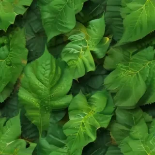 leaf background green